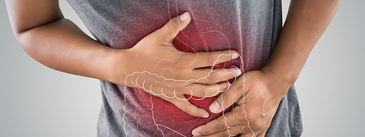 Entendendo a Disbiose Intestinal: O que é e Como Influencia sua Saúde Digestiva